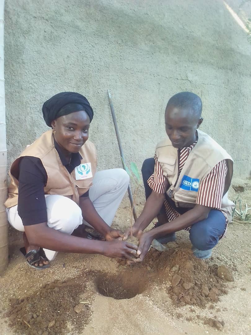 Activité de reboisement arbre de paix dans la région de l’Extrême-Nord plus précisément dans le quartier Louggéo - Photo 2