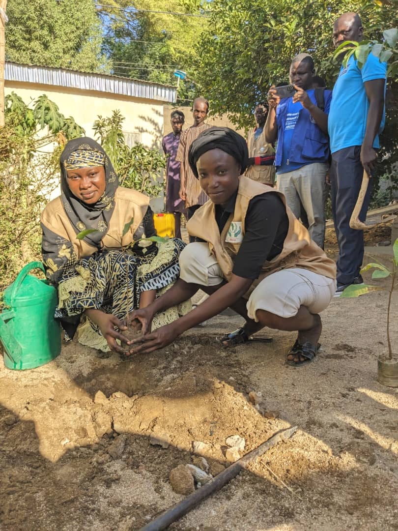 Activité de reboisement arbre de paix dans la région de l’Extrême-Nord plus précisément dans le quartier Louggéo - Photo 5